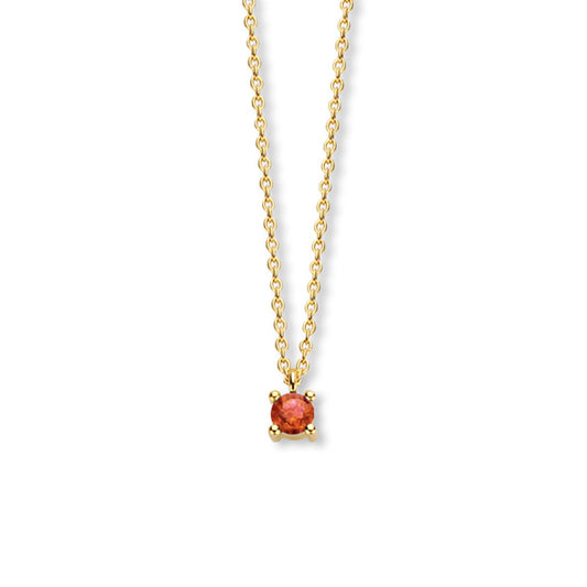 Exclusief 14 KT geelgouden anker collier met geboortesteen 3.5 mm met chatonzetting