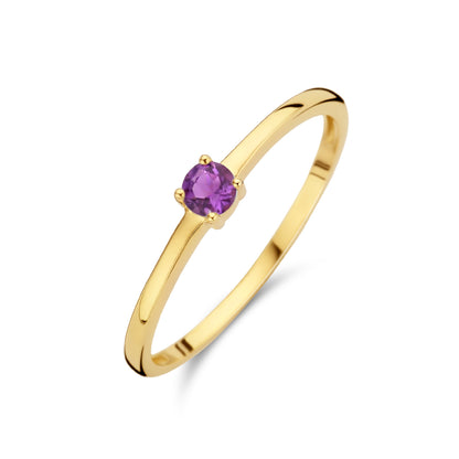 Exclusieve 14 KT geelgouden ring 3 mm met geboortesteen februari uit onze collectie geboortesieraden.